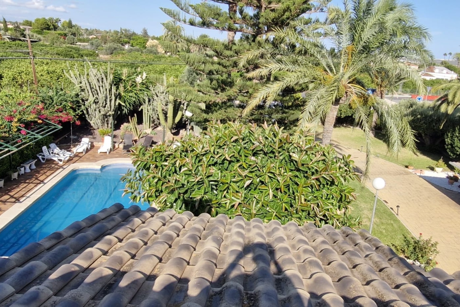 Revente - Finca Propriété rurale -
Elche