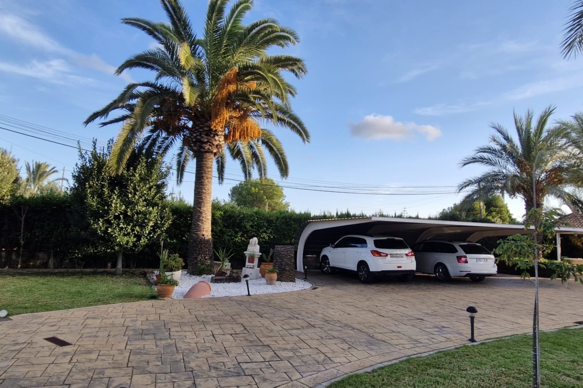 Revente - Finca Propriété rurale -
Elche