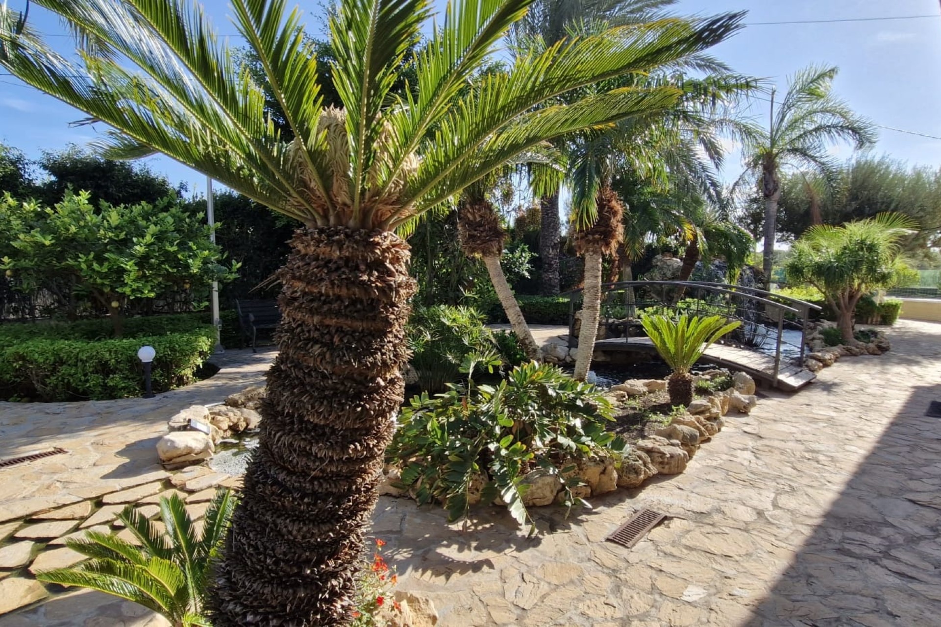 Revente - Finca Propriété rurale -
Elche