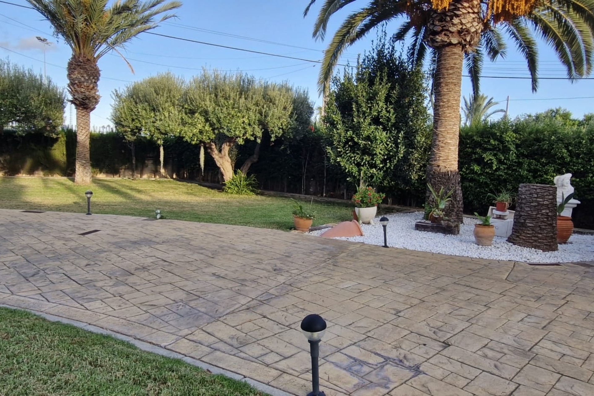 Revente - Finca Propriété rurale -
Elche