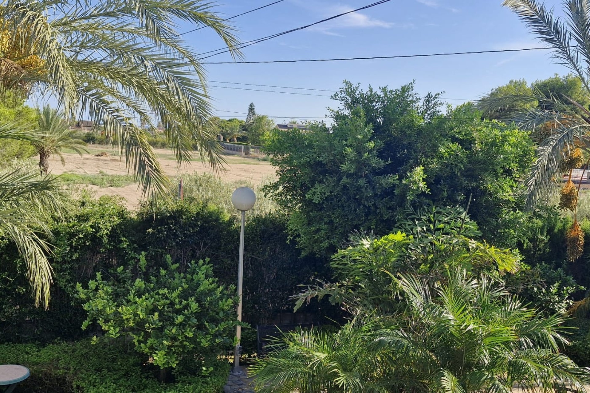 Revente - Finca Propriété rurale -
Elche