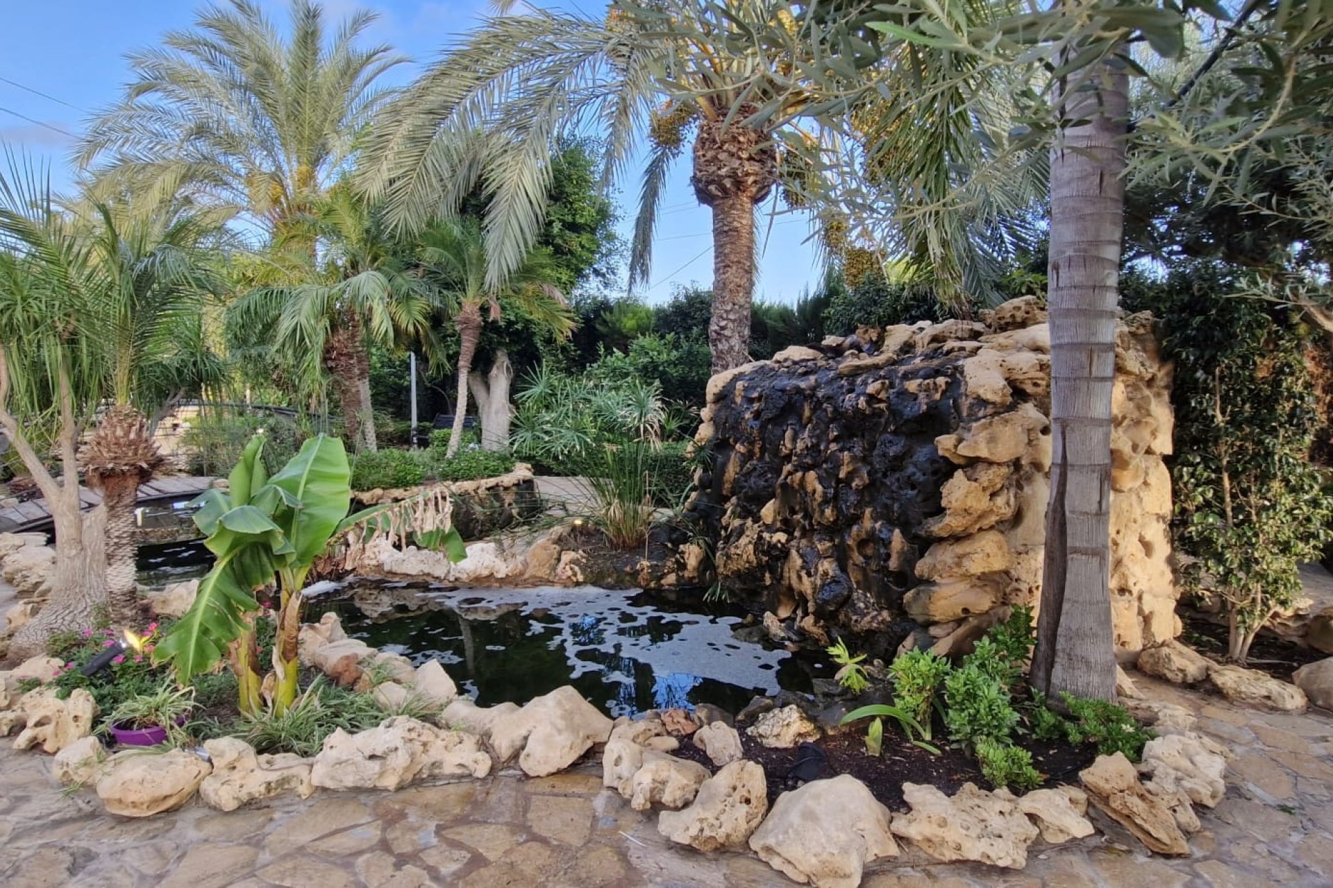 Revente - Finca Propriété rurale -
Elche