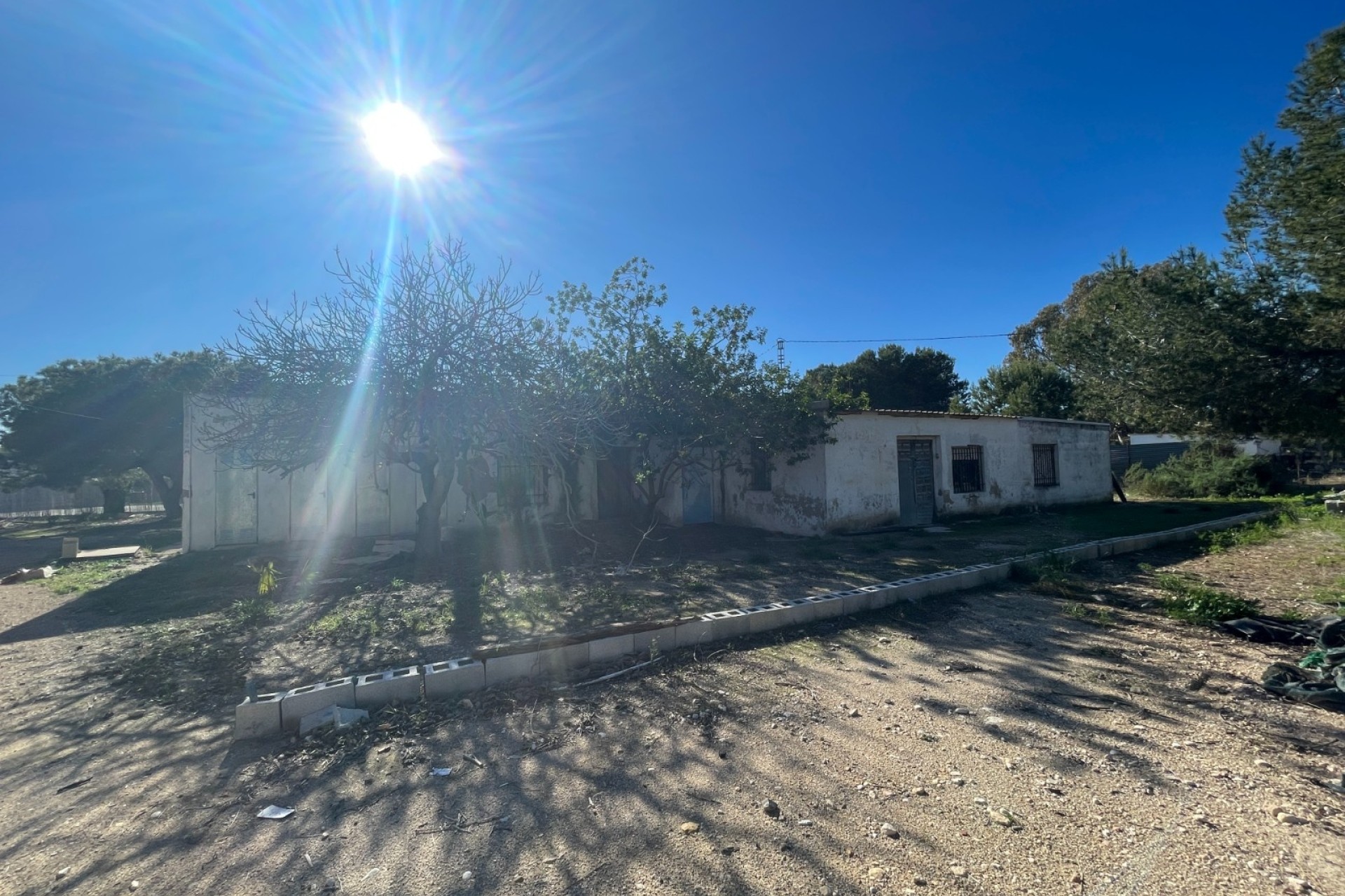 Revente - Finca Propriété rurale -
Elche