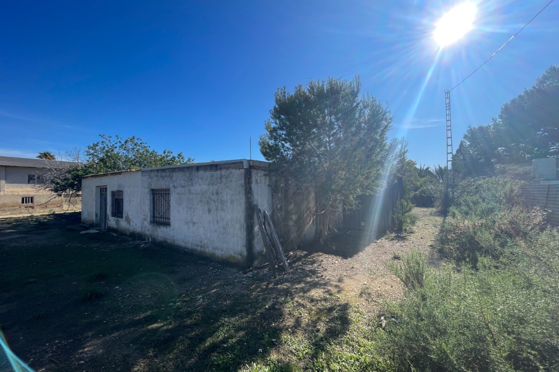 Revente - Finca Propriété rurale -
Elche