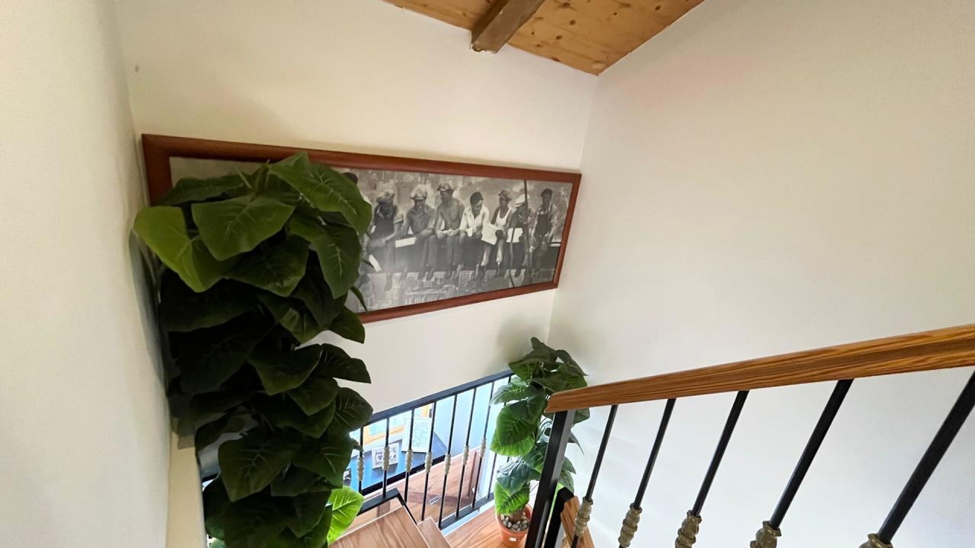 Revente - Finca Propriété rurale -
Fortuna