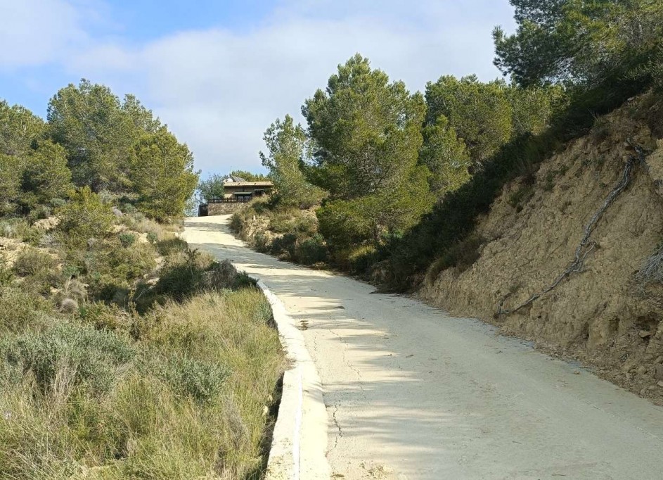 Revente - Finca Propriété rurale -
Gea y Truyols