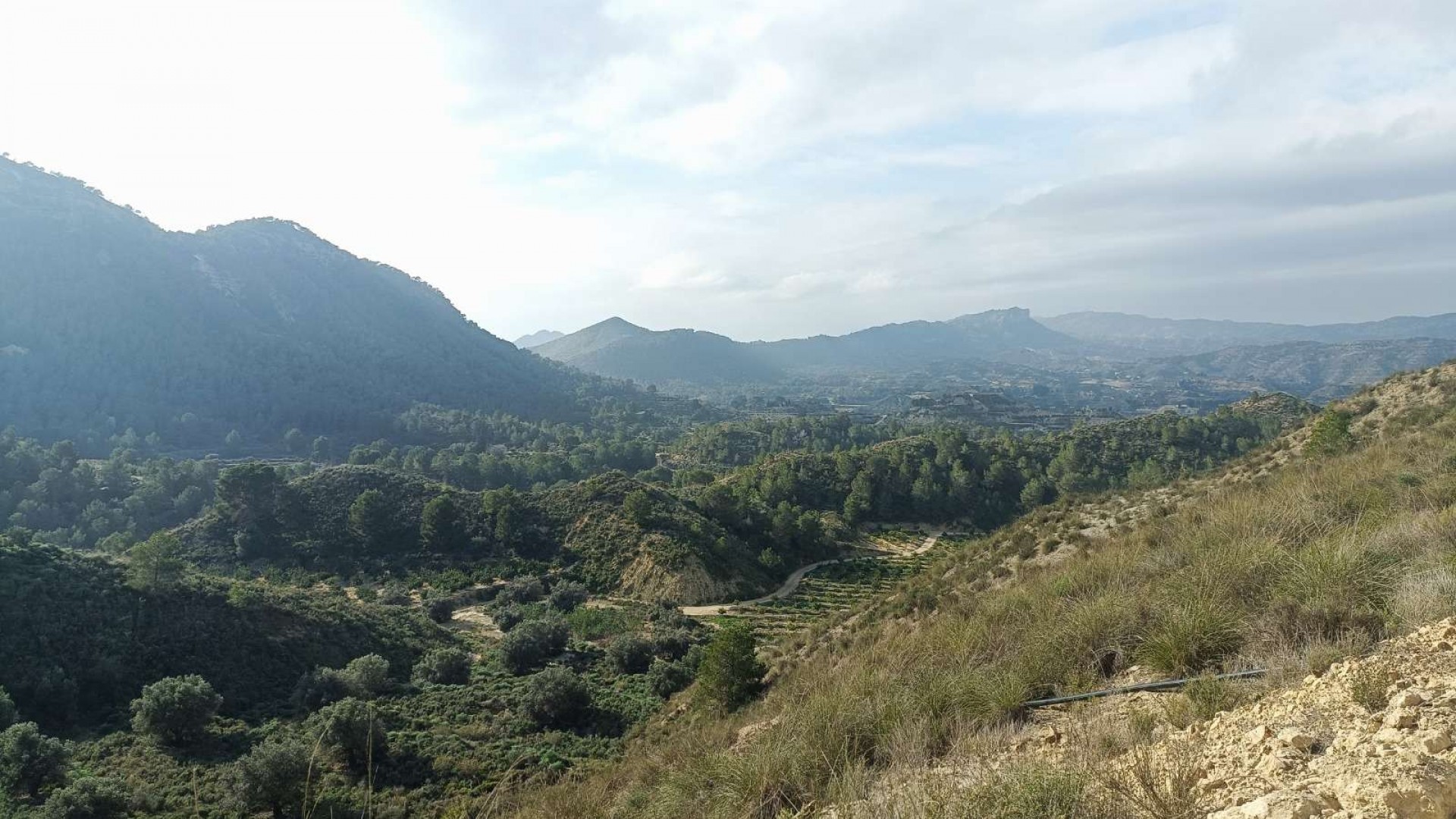 Revente - Finca Propriété rurale -
Gea y Truyols