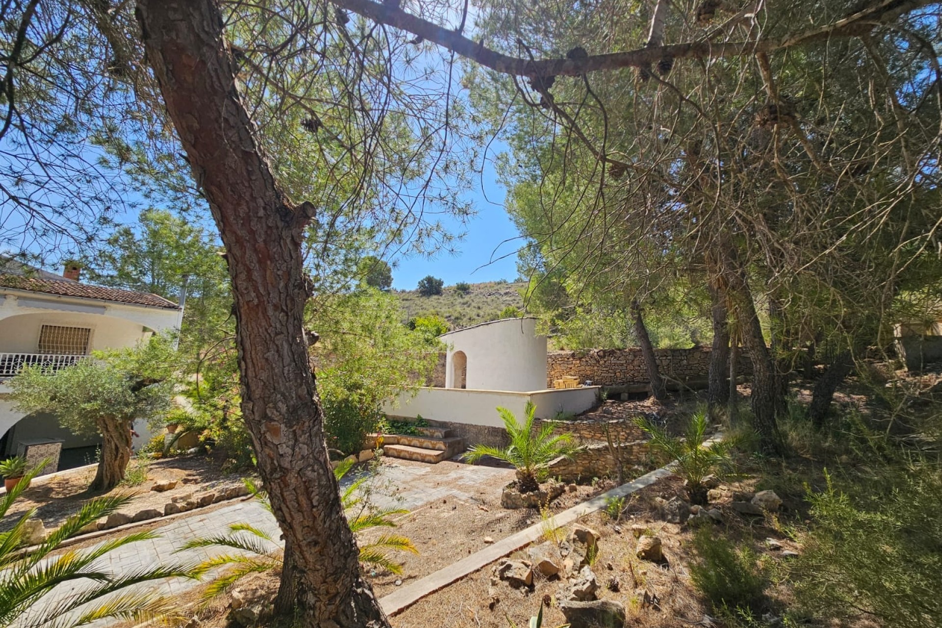 Revente - Finca / Propriété rurale -
Hondón de los Fráiles