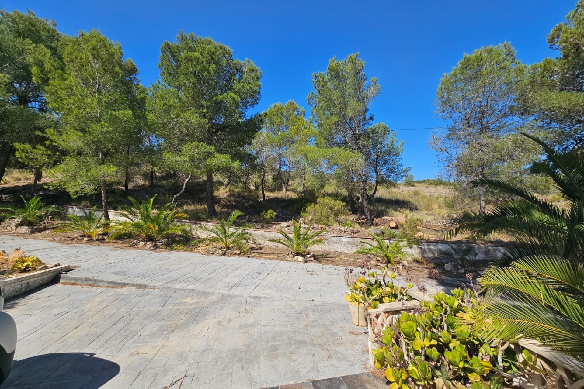 Revente - Finca / Propriété rurale -
Hondón de los Fráiles