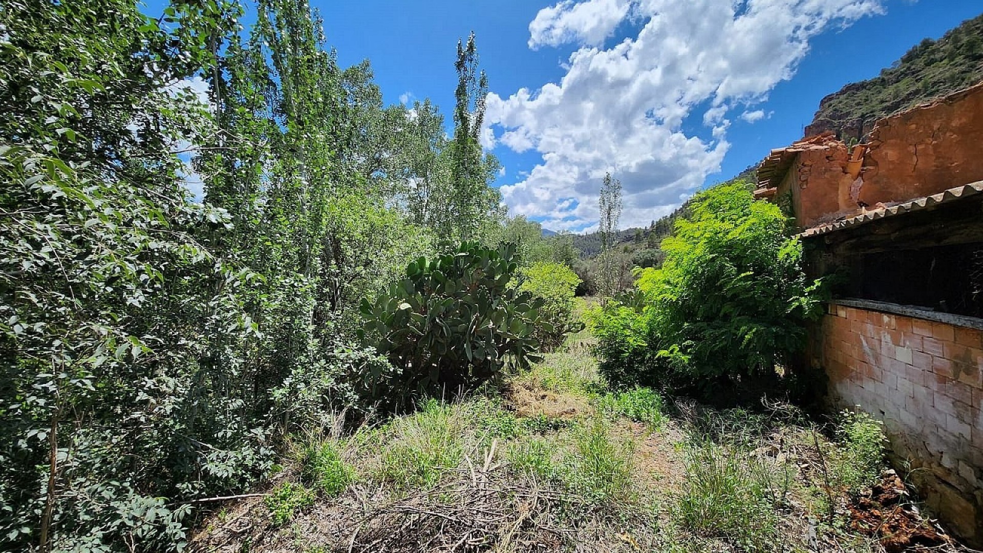 Revente - Finca Propriété rurale -
Jalance