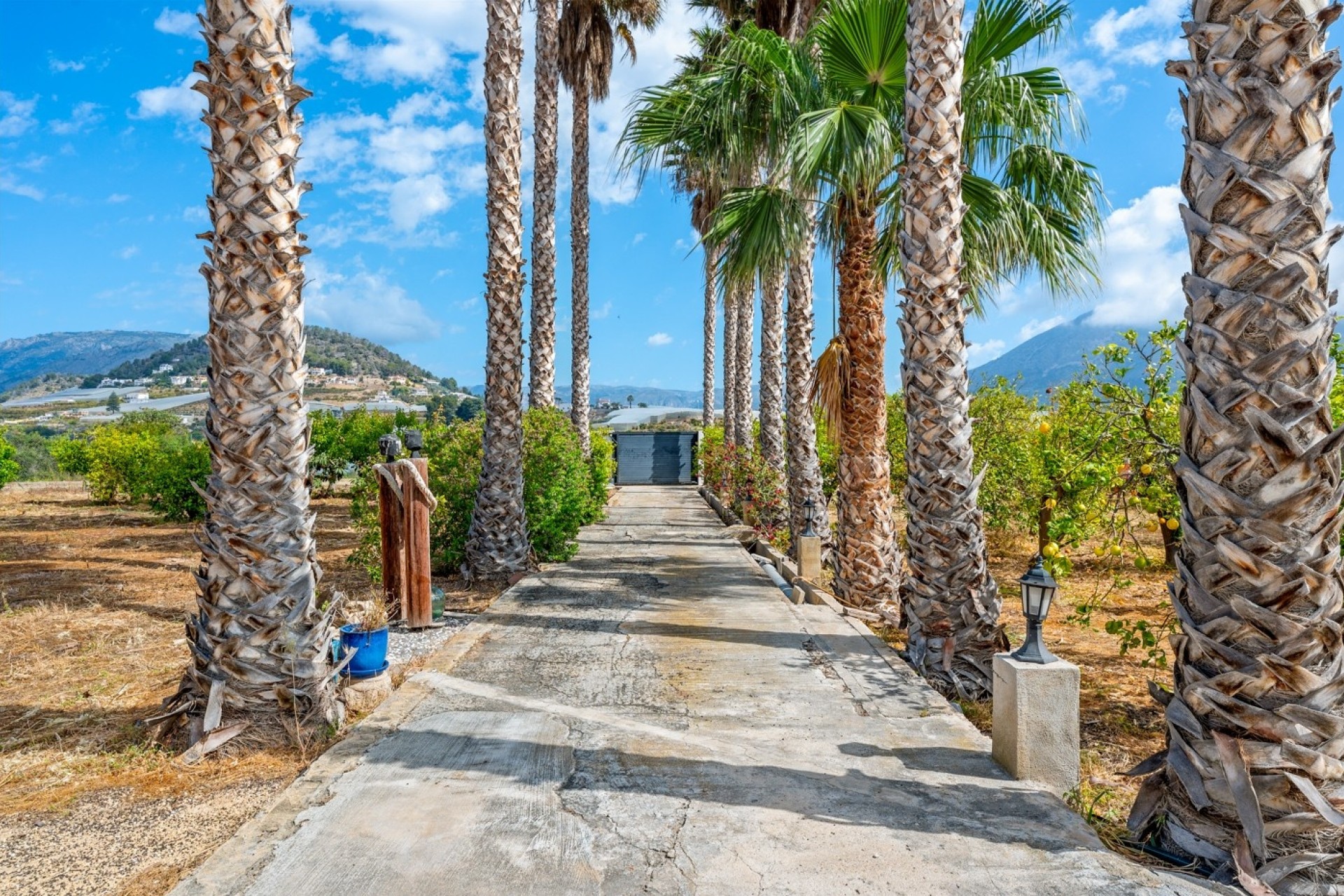Revente - Finca / Propriété rurale -
La Nucía