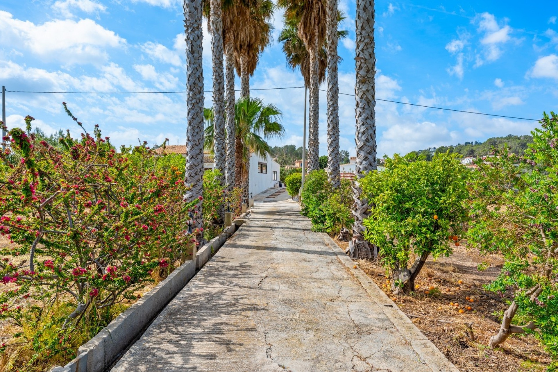 Revente - Finca / Propriété rurale -
La Nucía