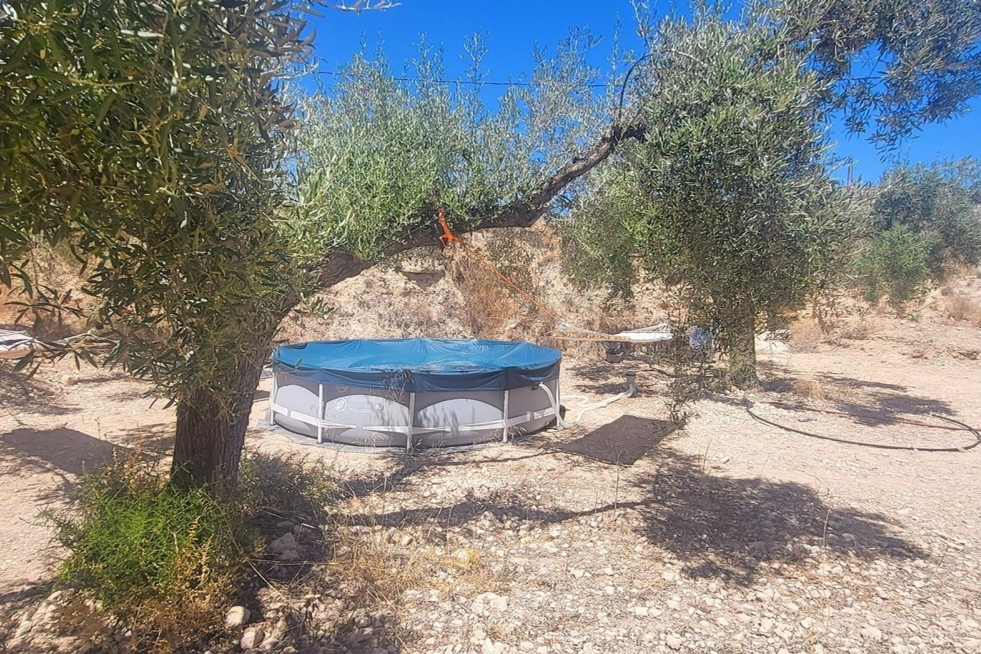 Revente - Finca Propriété rurale -
La Romana