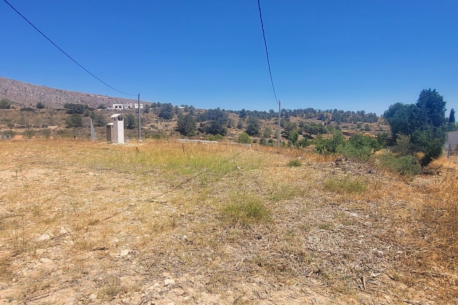 Revente - Finca Propriété rurale -
La Romana