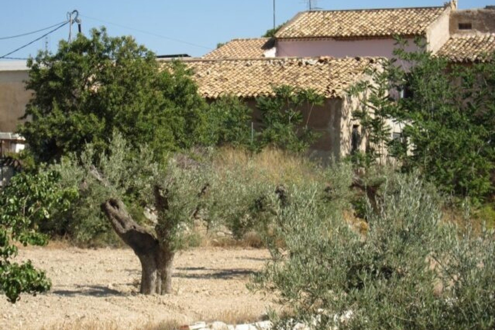 Revente - Finca / Propriété rurale -
La Romana