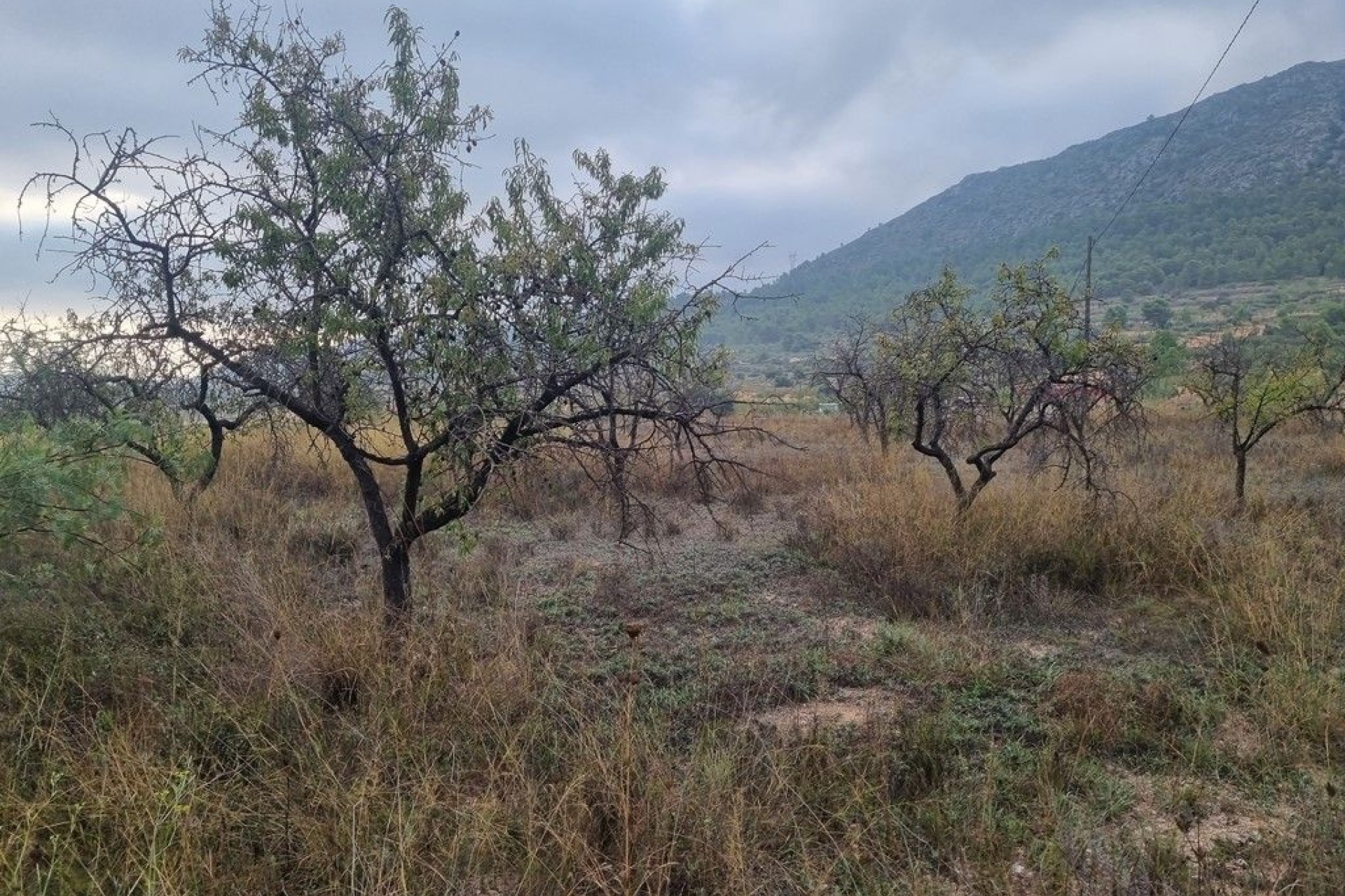 Revente - Finca Propriété rurale -
La Romana
