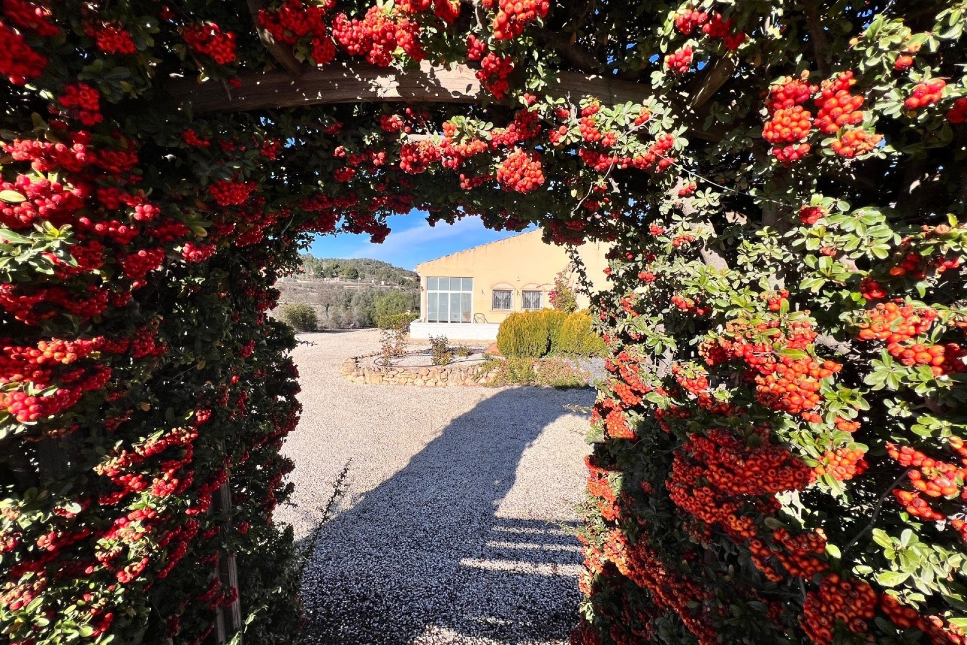 Revente - Finca Propriété rurale -
La Zarza