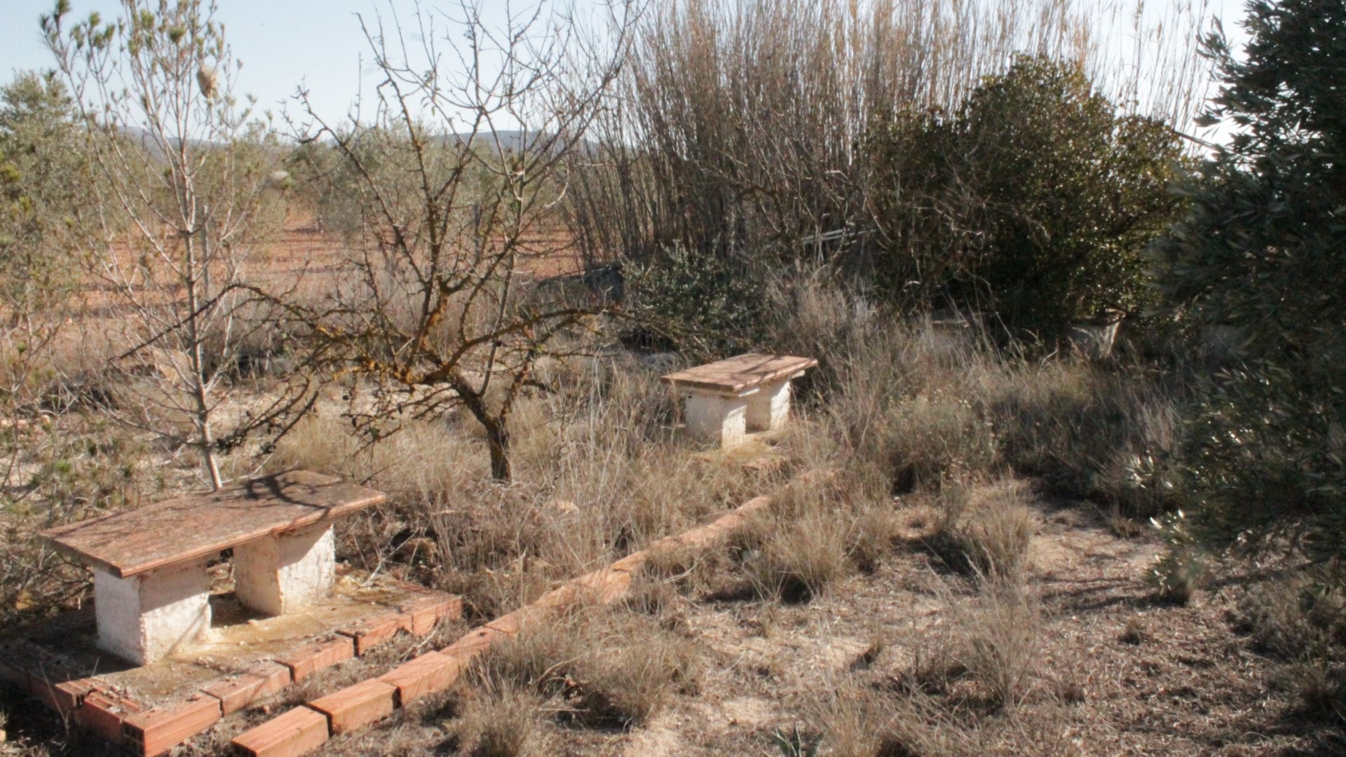 Revente - Finca Propriété rurale -
Lel - Lel Alicante