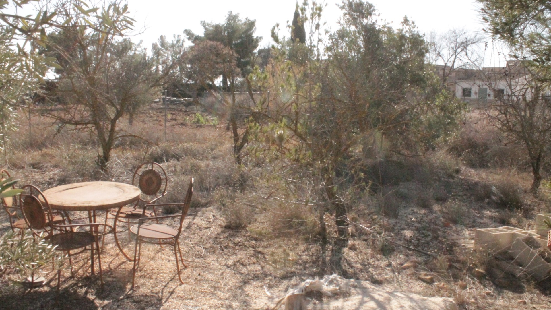 Revente - Finca Propriété rurale -
Lel - Lel Alicante