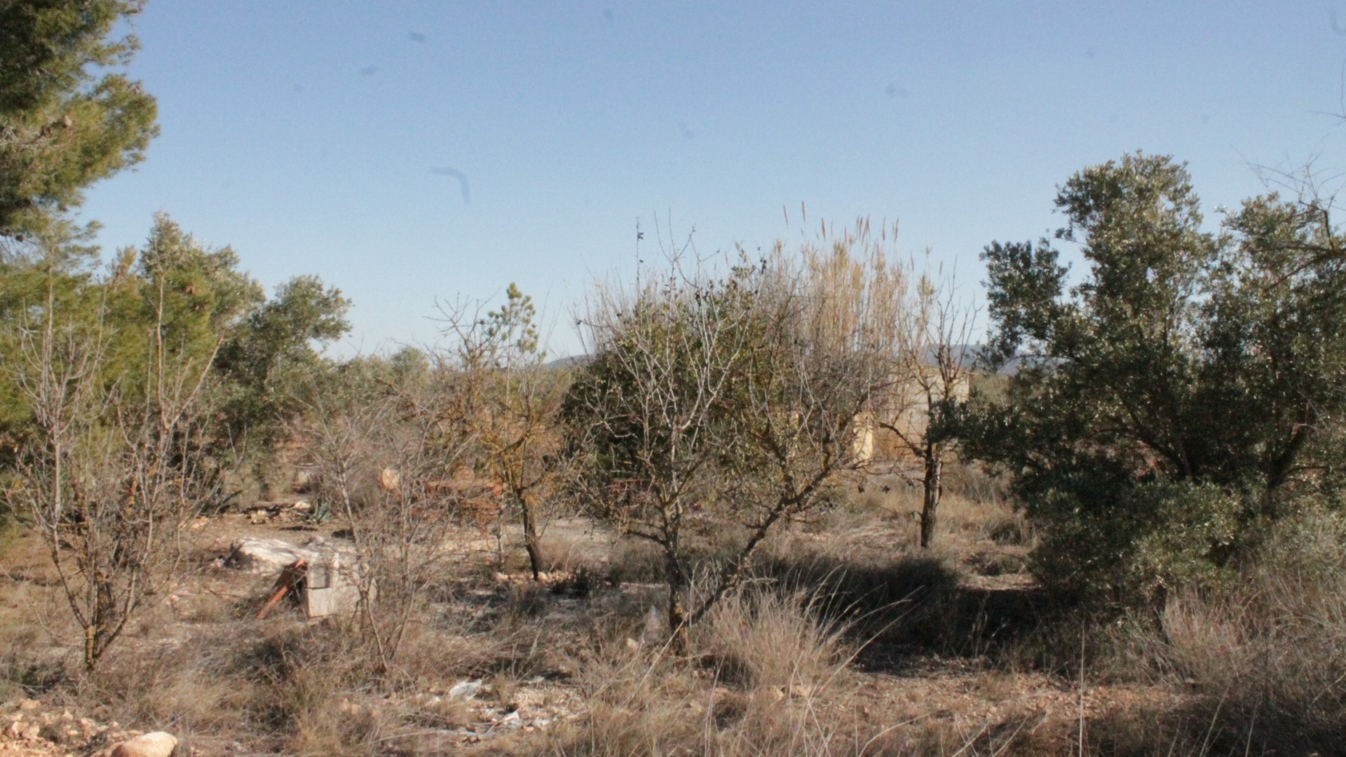 Revente - Finca Propriété rurale -
Lel - Lel Alicante