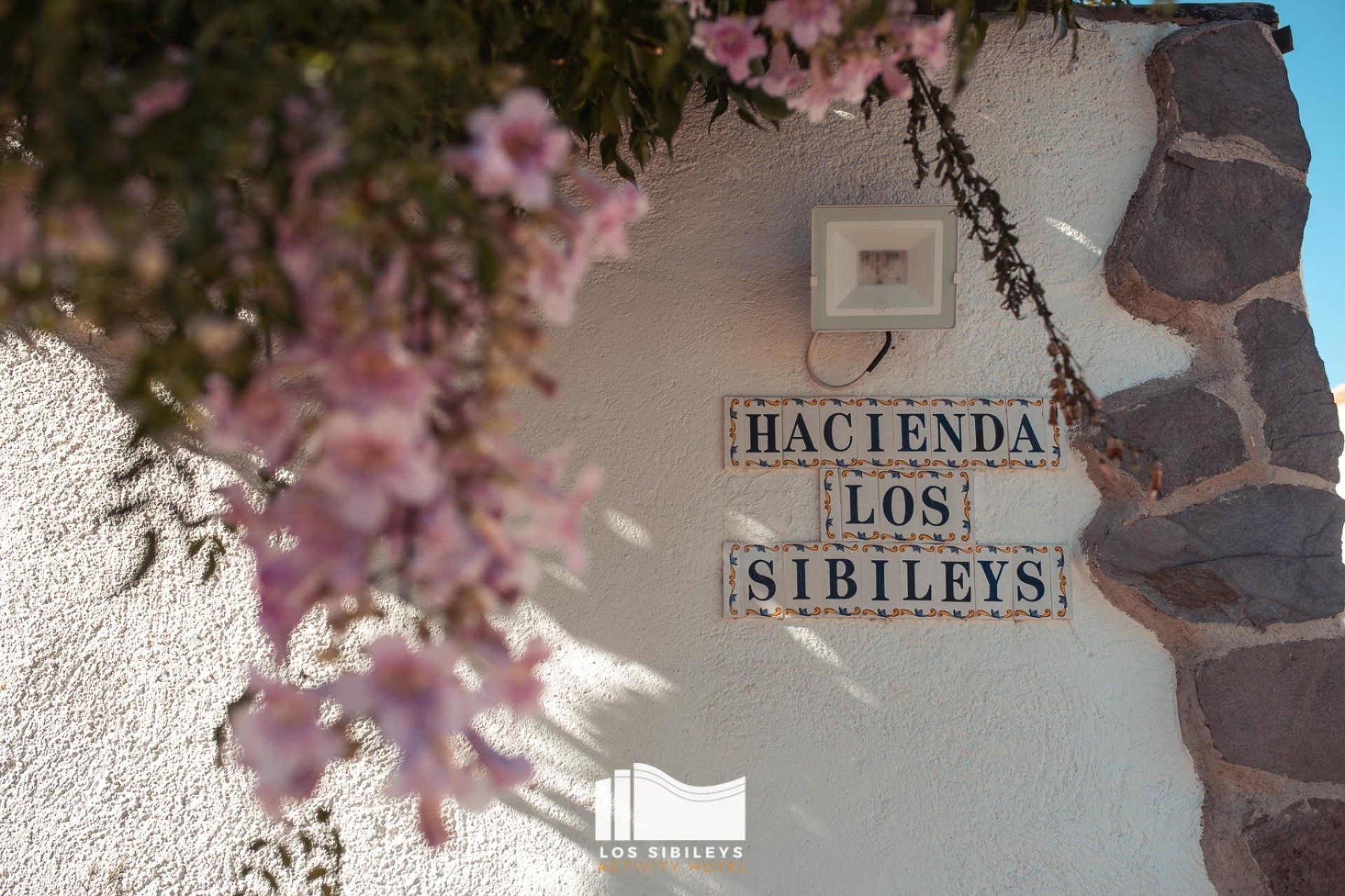 Revente - Finca Propriété rurale -
Lorca