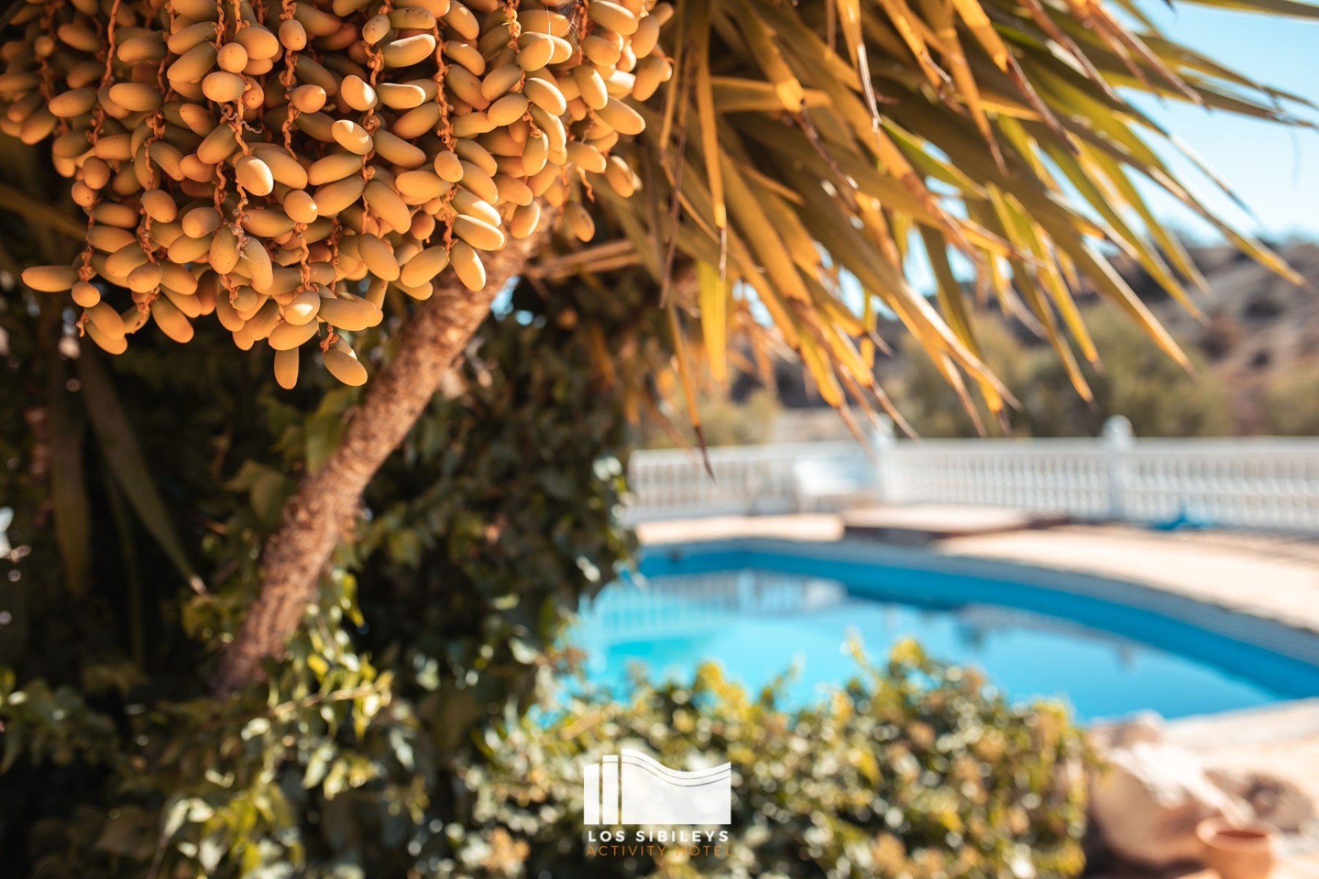 Revente - Finca Propriété rurale -
Lorca