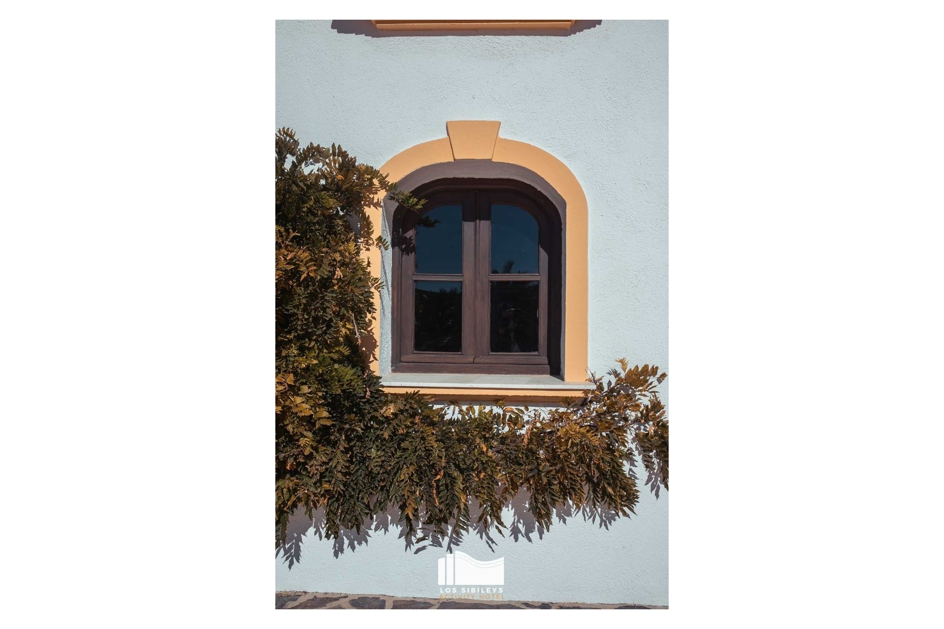 Revente - Finca Propriété rurale -
Lorca