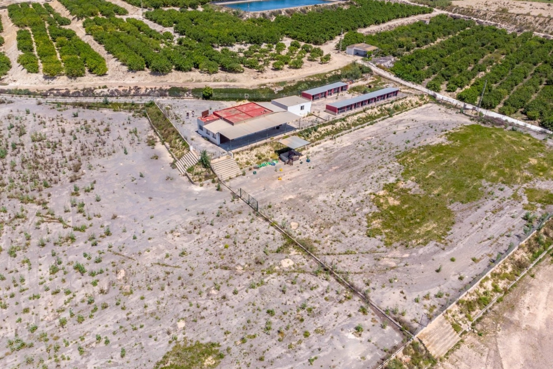 Revente - Finca Propriété rurale -
Los Montesinos - LOS MONTESINOS