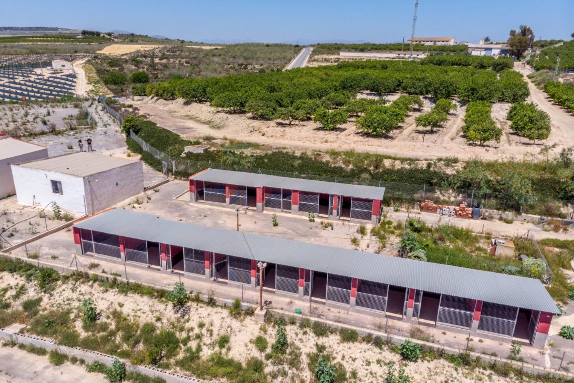 Revente - Finca Propriété rurale -
Los Montesinos - LOS MONTESINOS