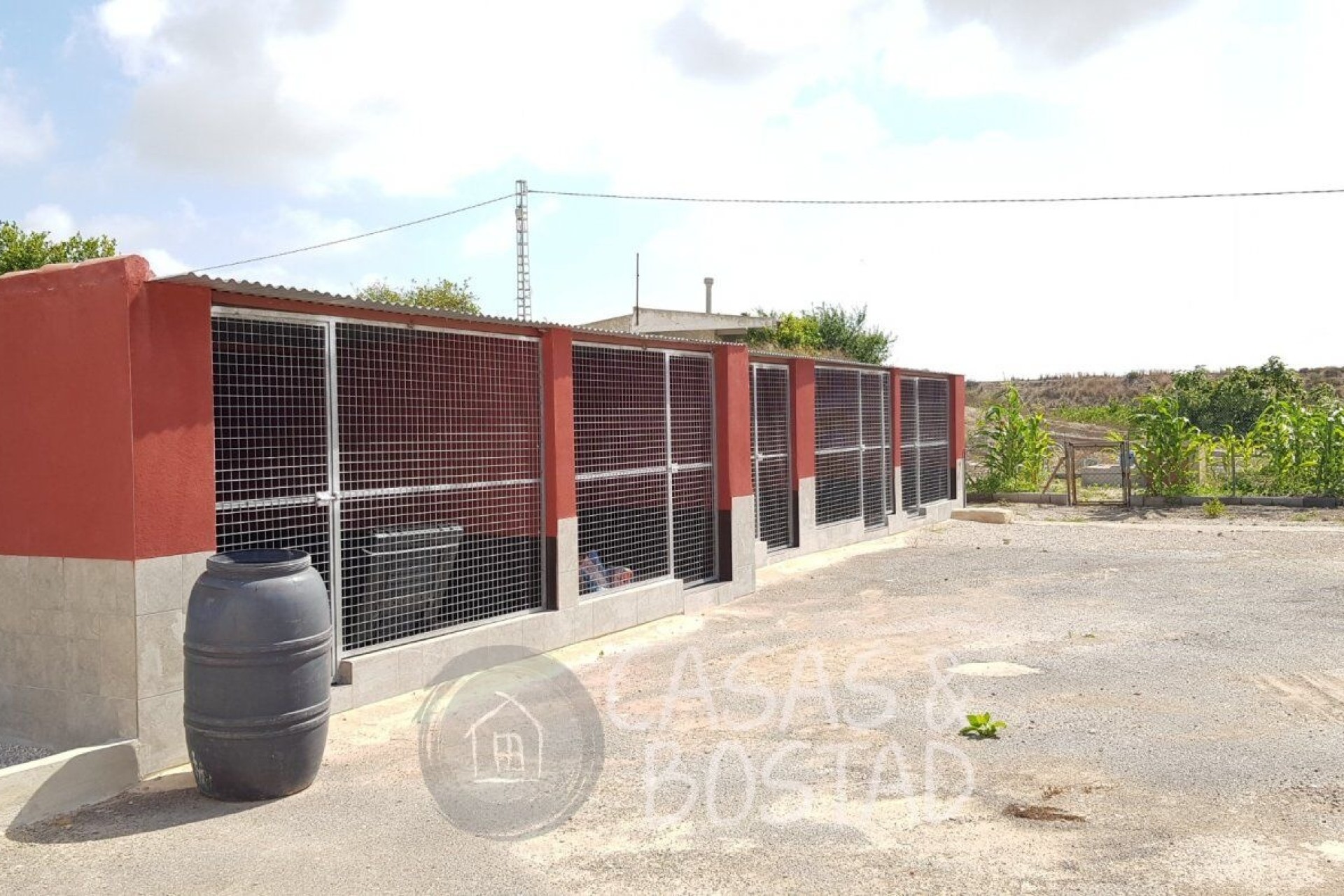 Revente - Finca Propriété rurale -
Los Montesinos - LOS MONTESINOS