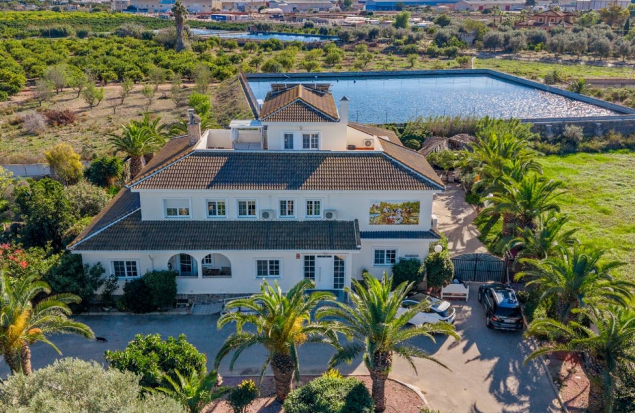 Revente - Finca Propriété rurale -
Los Montesinos