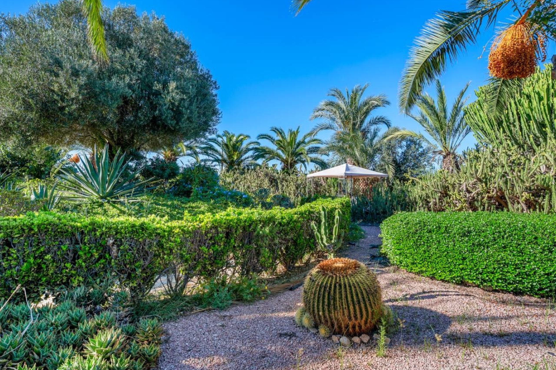 Revente - Finca Propriété rurale -
Los Montesinos