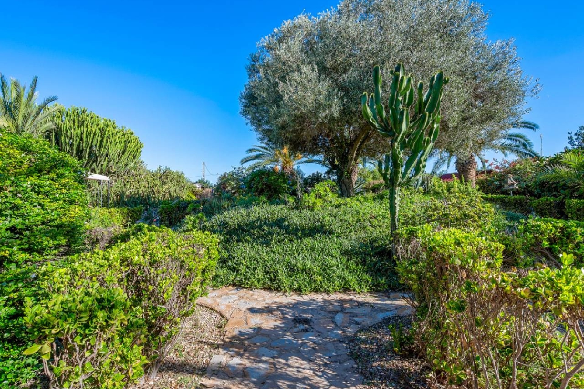 Revente - Finca Propriété rurale -
Los Montesinos