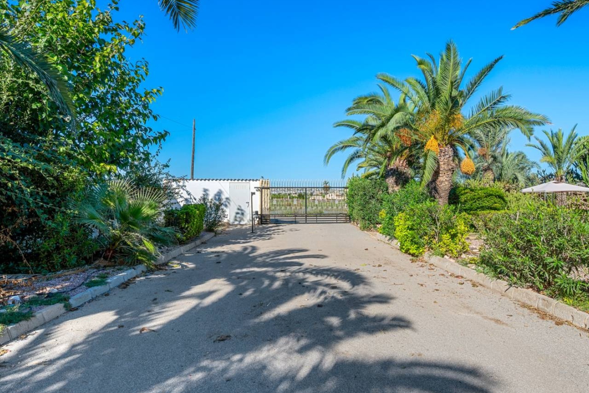 Revente - Finca Propriété rurale -
Los Montesinos