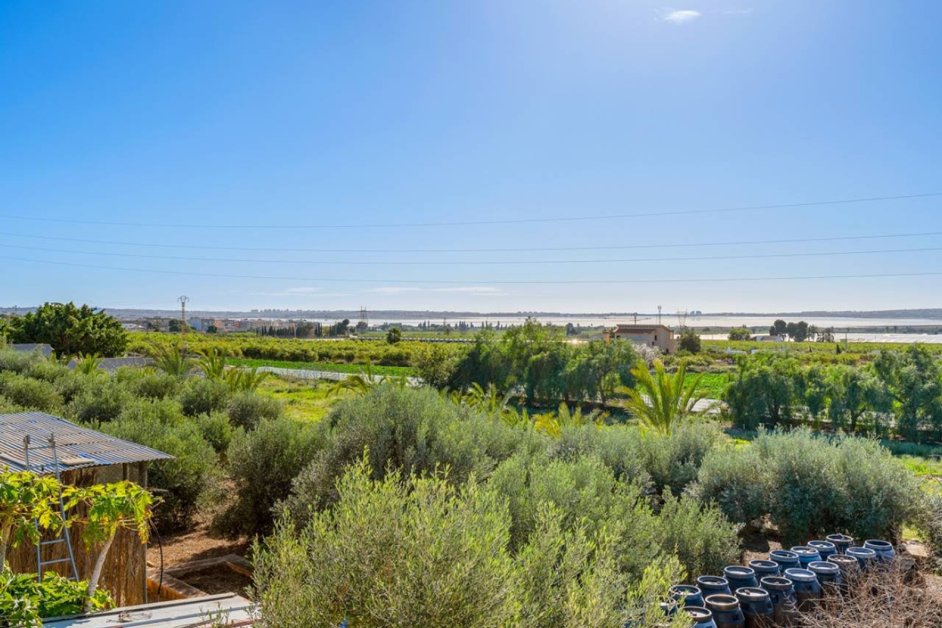 Revente - Finca Propriété rurale -
Los Montesinos