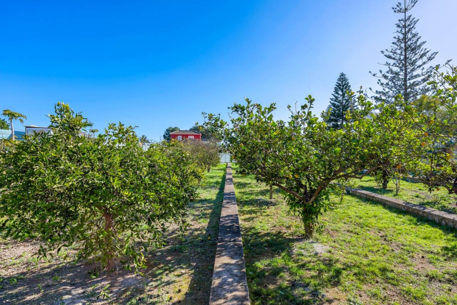 Revente - Finca Propriété rurale -
Los Montesinos