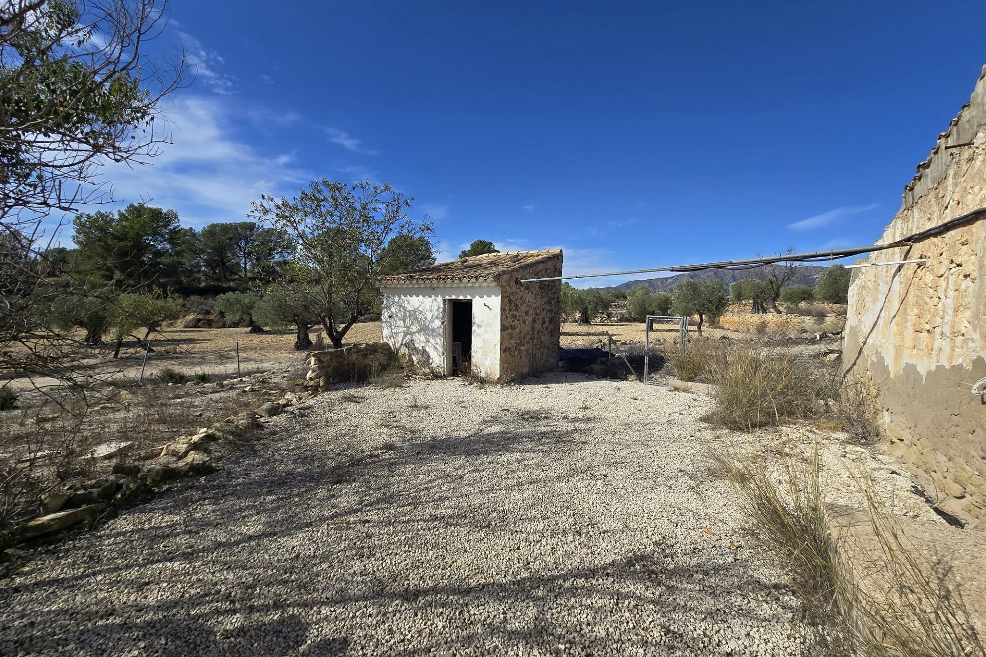 Revente - Finca Propriété rurale -
Monóvar