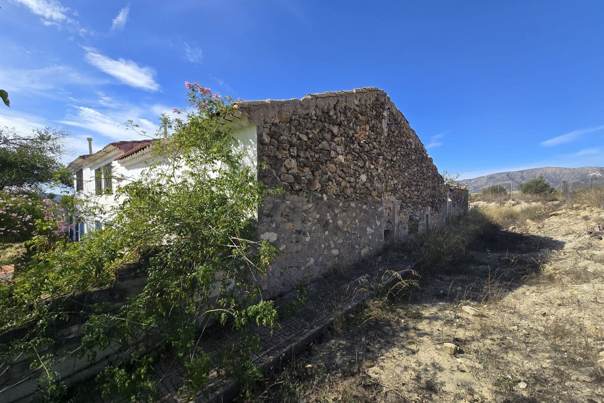 Revente - Finca Propriété rurale -
Monóvar