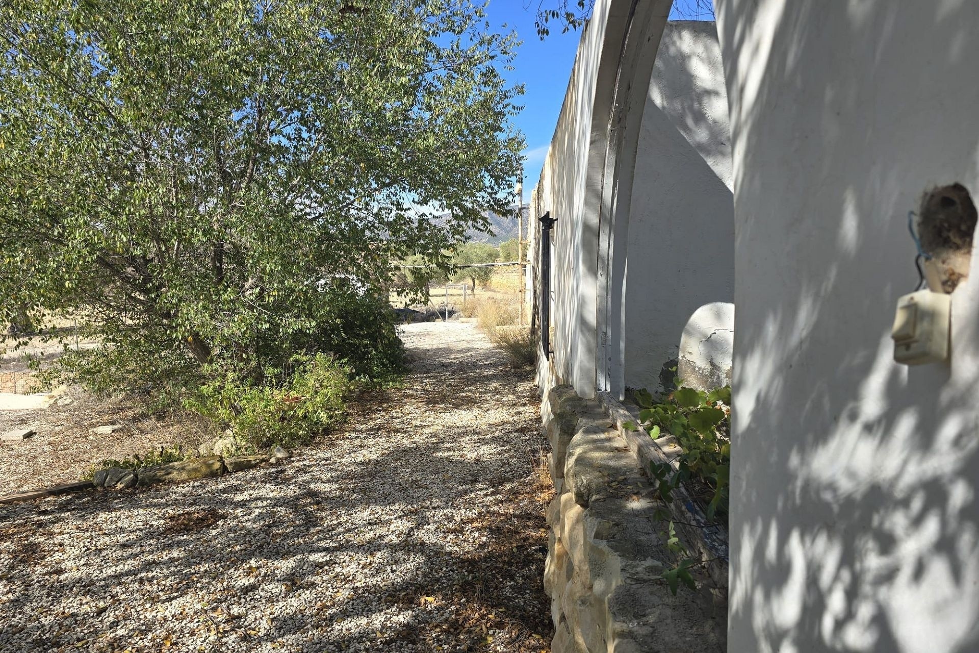 Revente - Finca Propriété rurale -
Monóvar