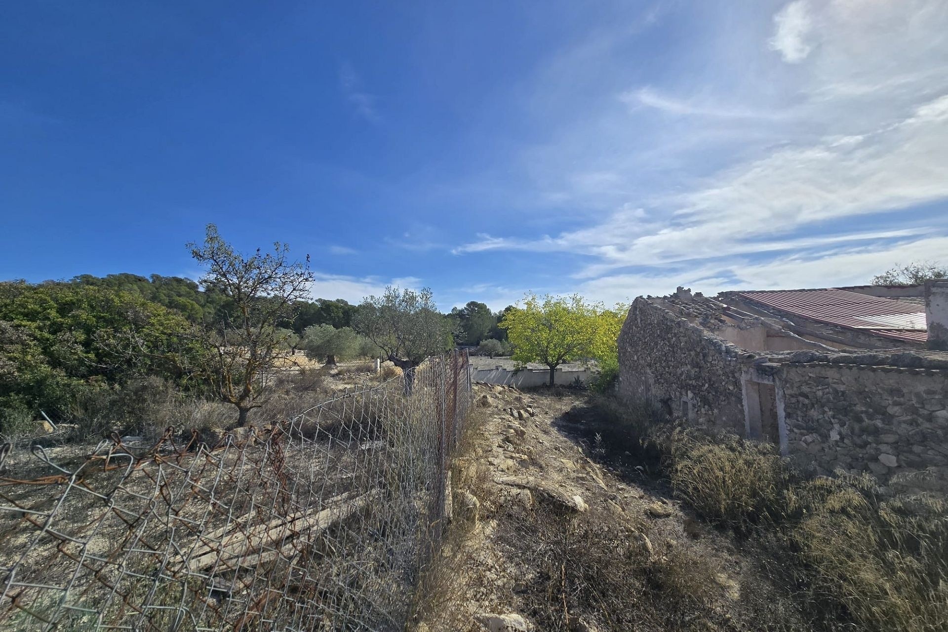 Revente - Finca Propriété rurale -
Monóvar