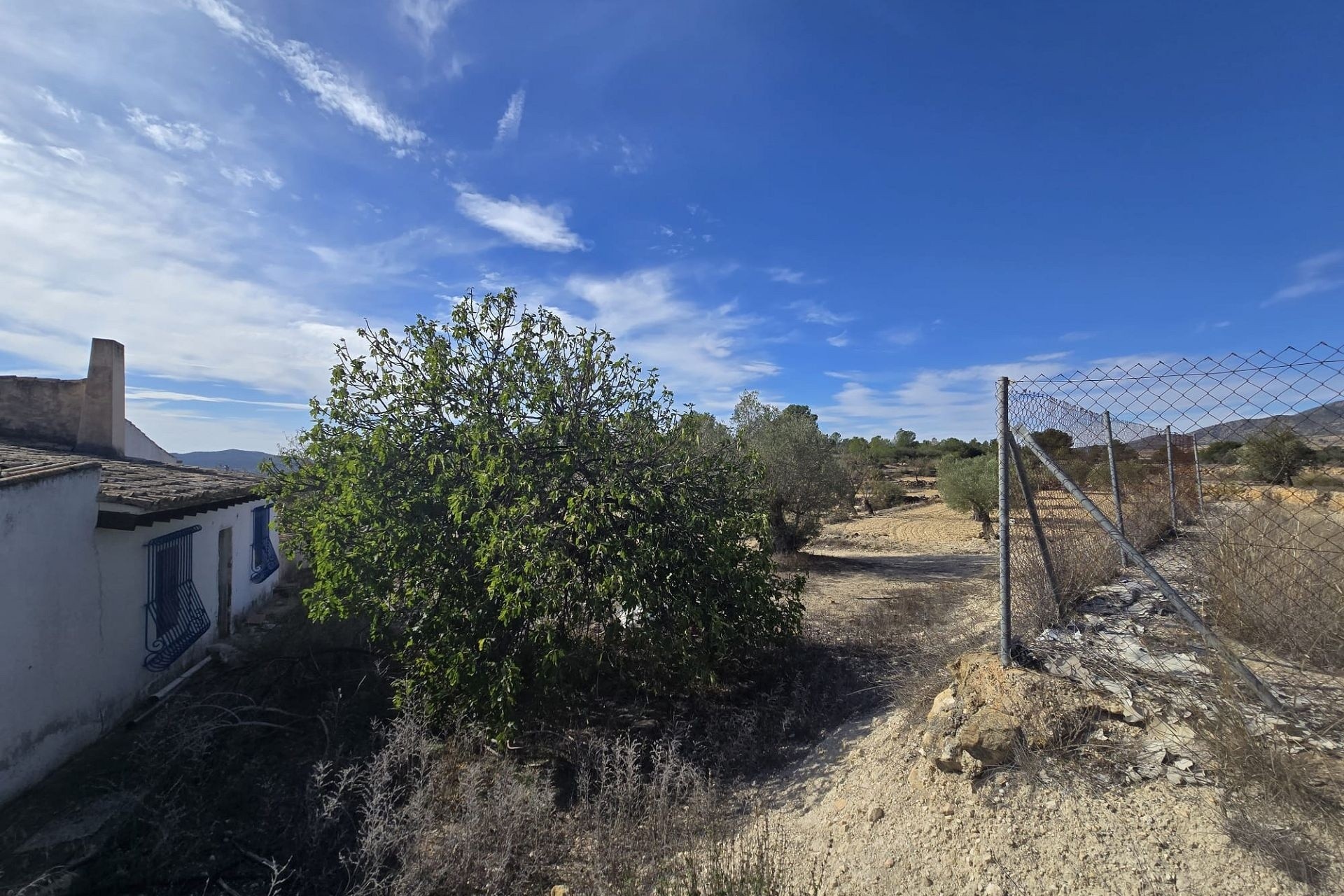 Revente - Finca Propriété rurale -
Monóvar