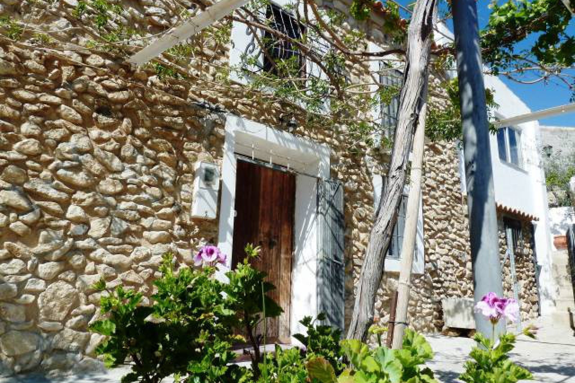Revente - Finca / Propriété rurale -
Murcia