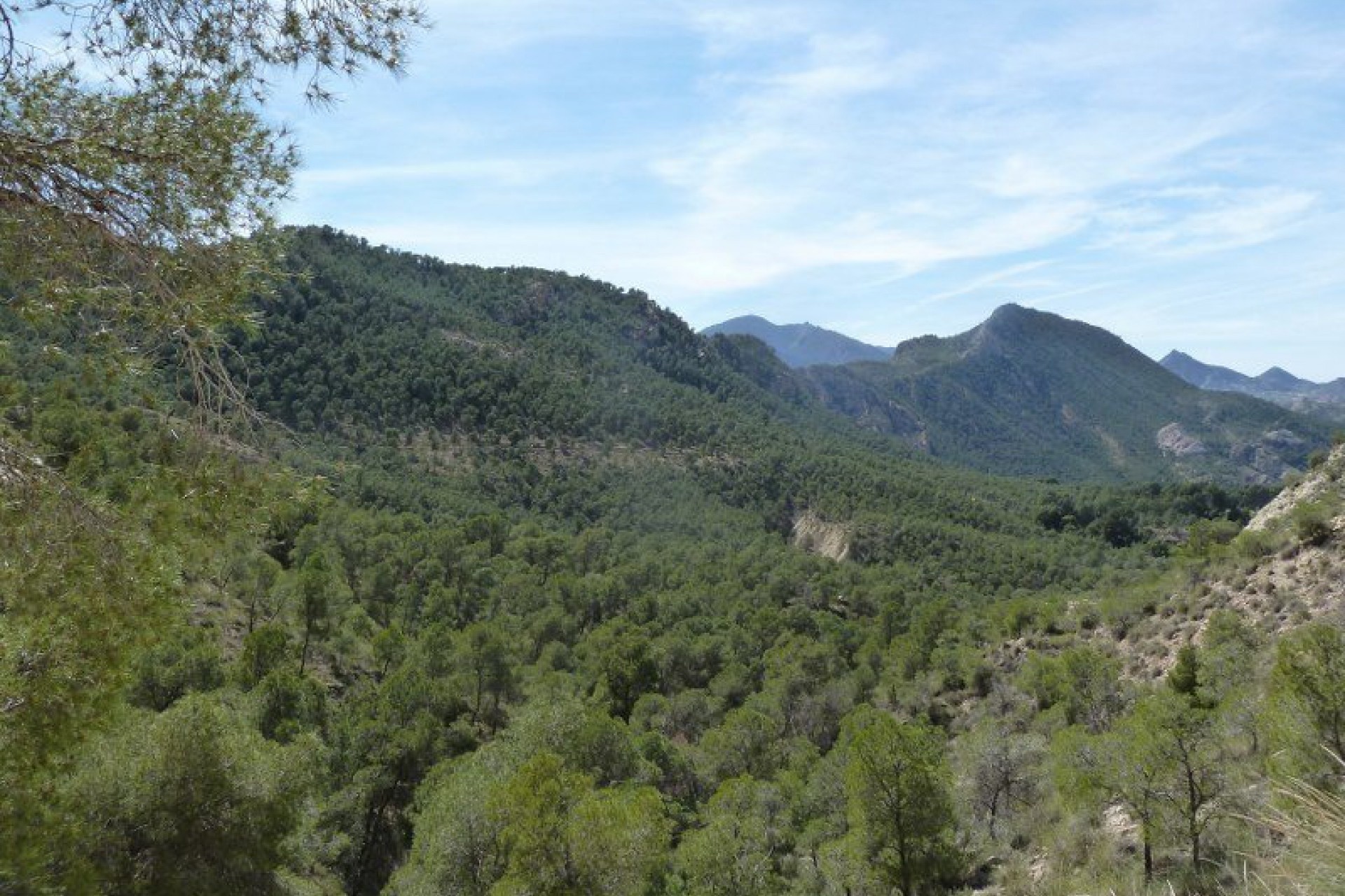 Revente - Finca / Propriété rurale -
Murcia
