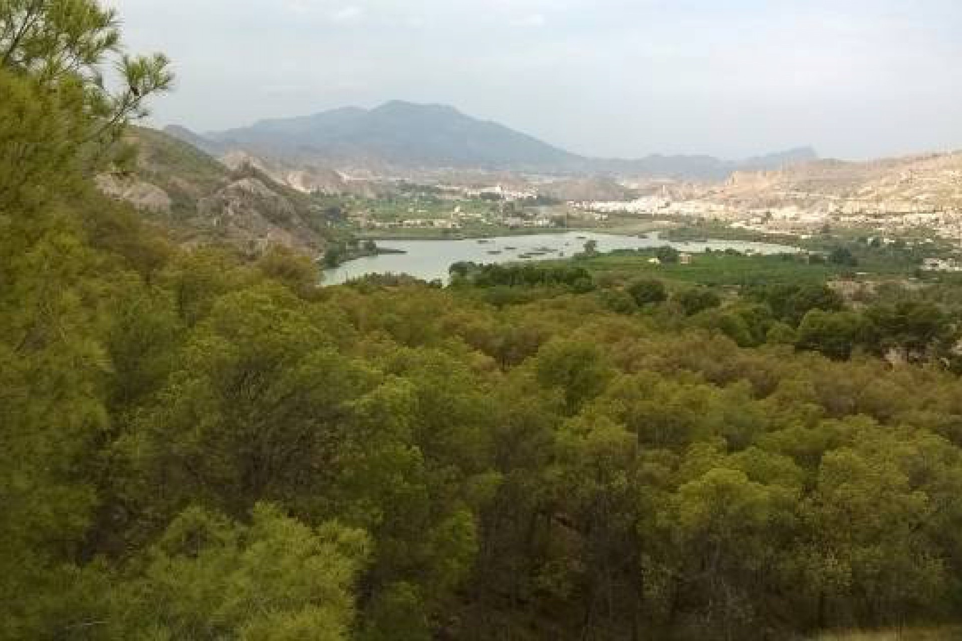 Revente - Finca / Propriété rurale -
Murcia