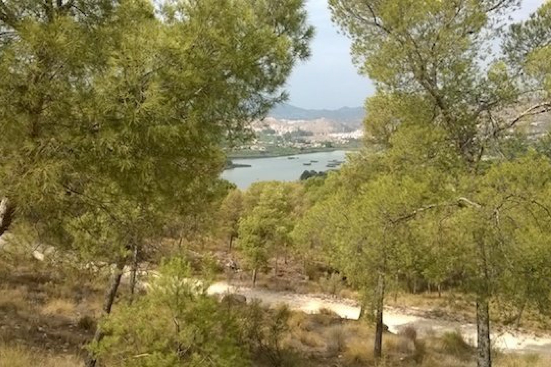 Revente - Finca / Propriété rurale -
Murcia