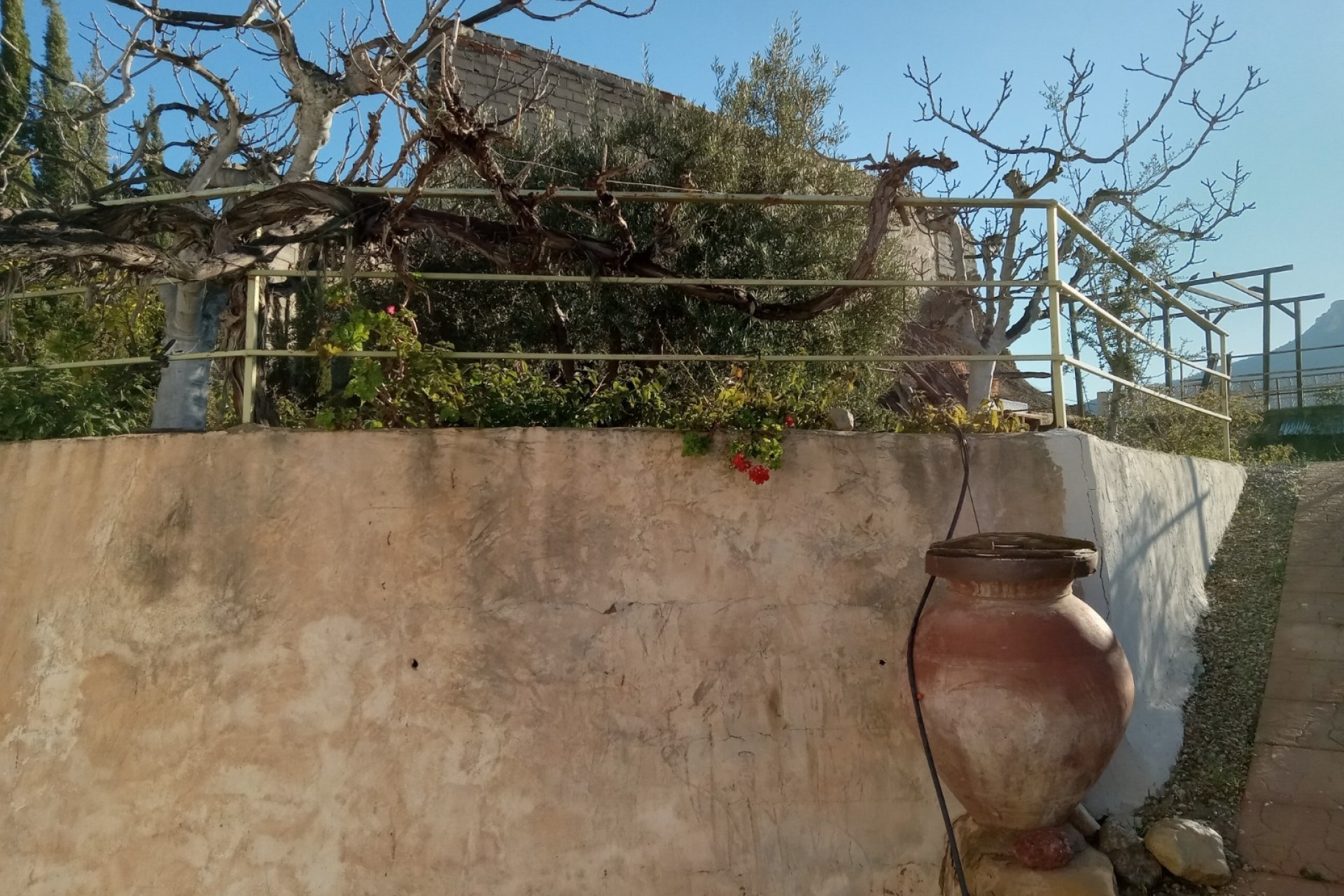 Revente - Finca / Propriété rurale -
Murcia