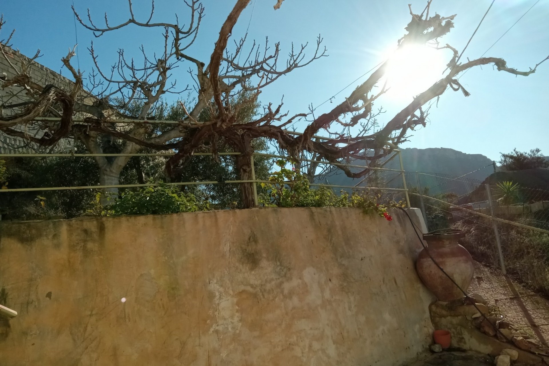 Revente - Finca / Propriété rurale -
Murcia