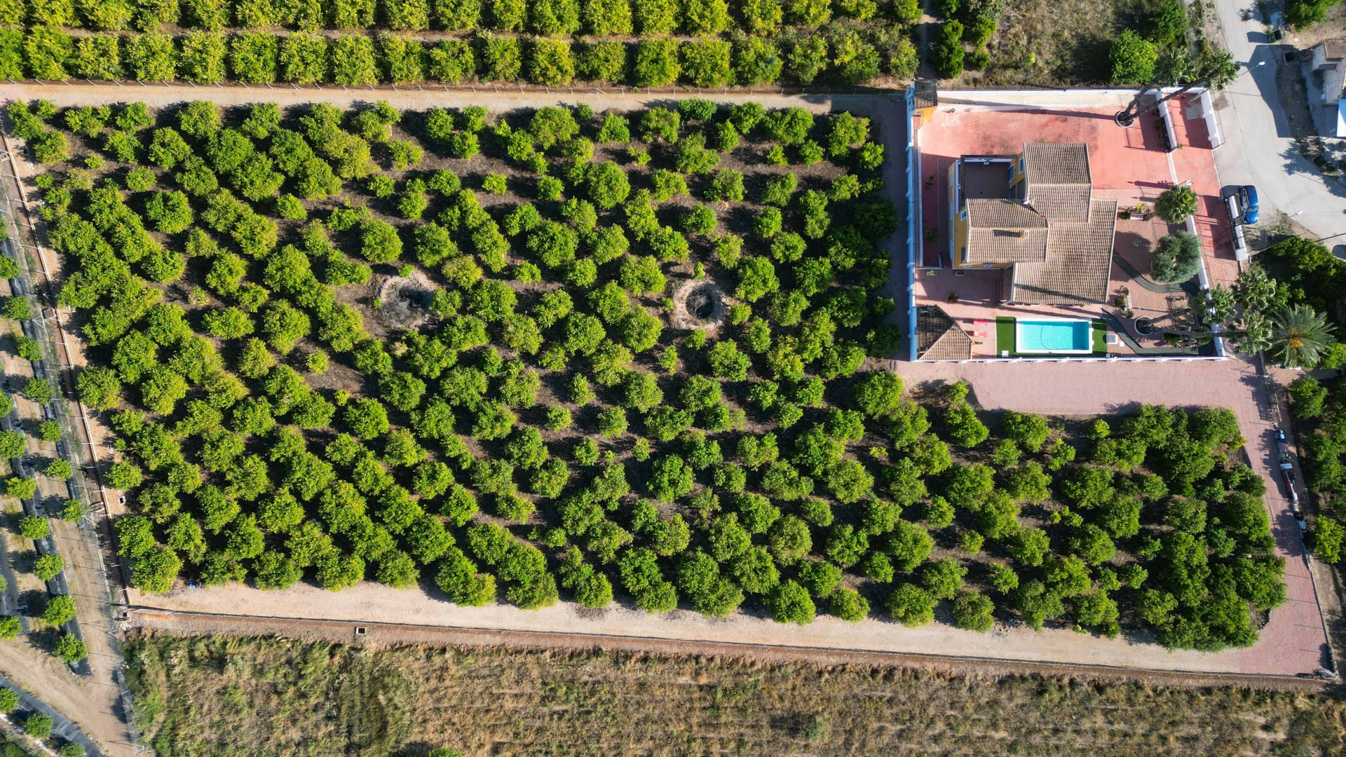 Revente - Finca Propriété rurale -
Orihuela - Correntías Medias