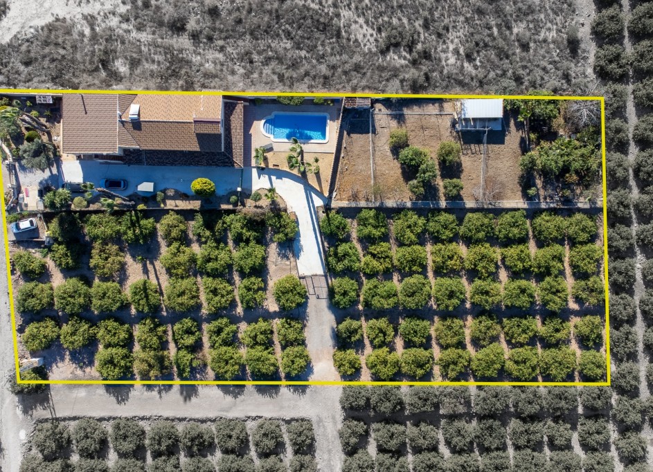 Revente - Finca Propriété rurale -
Orihuela - La Matanza