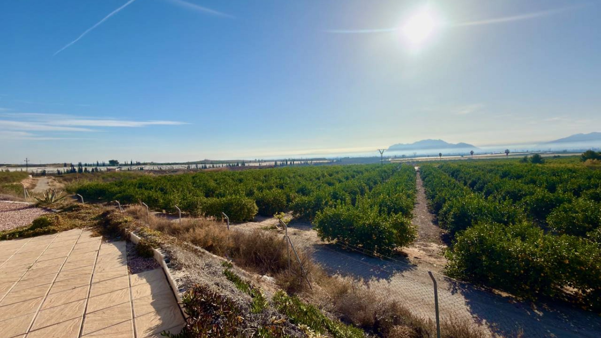 Revente - Finca Propriété rurale -
Orihuela
